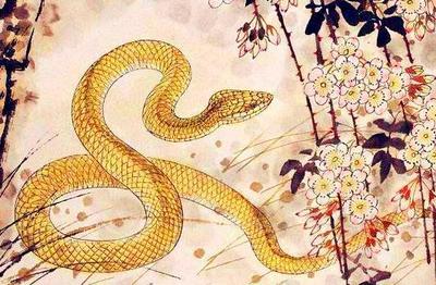 奇闻天相有书读是什么生肖