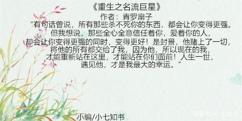 娱乐圈小说免费阅读